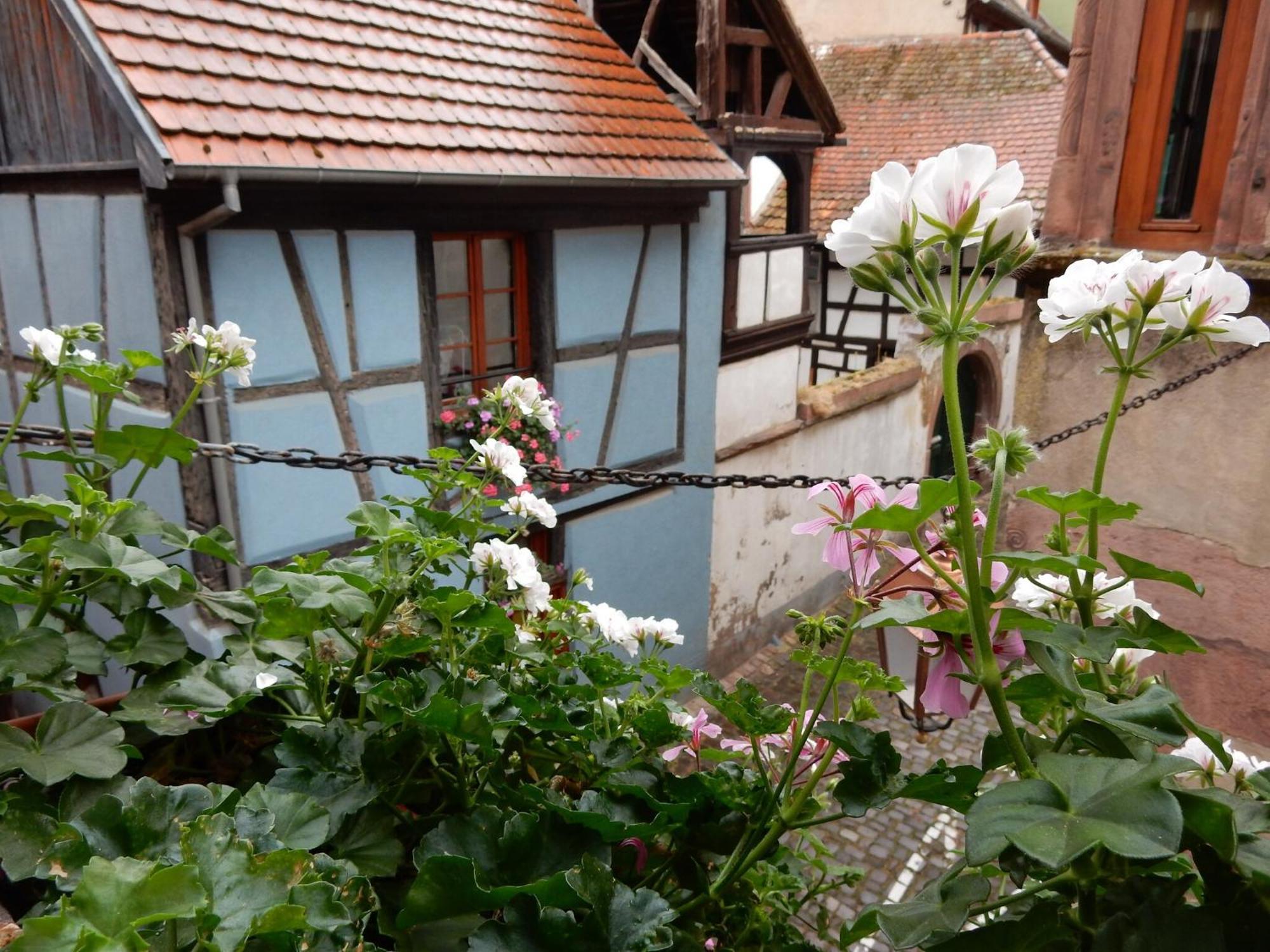 An Apartment In A 17Th Century Wine Grower S House Риквир Екстериор снимка